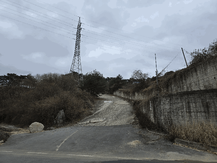물건 사진 251