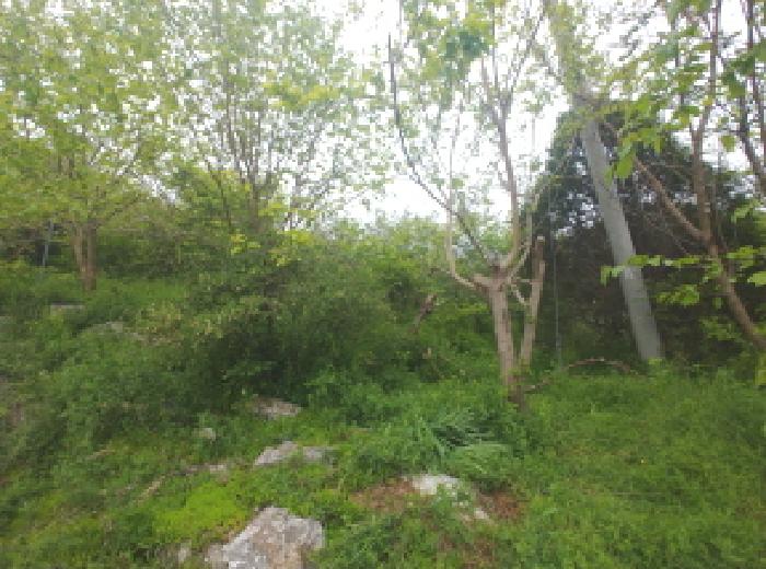 물건 사진 88