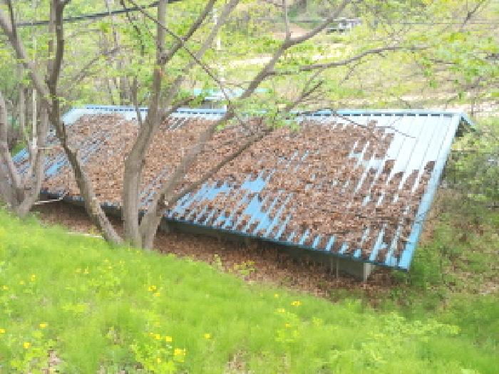 물건 사진 96