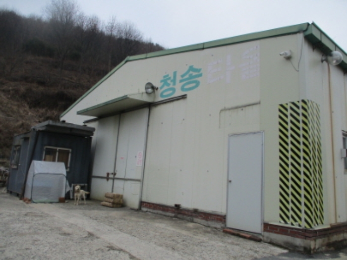 물건 사진 12