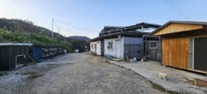 물건 사진 7