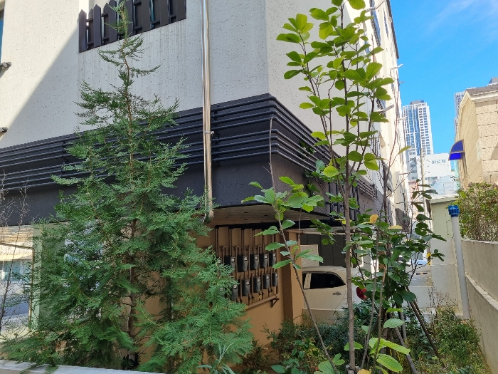물건 사진 54