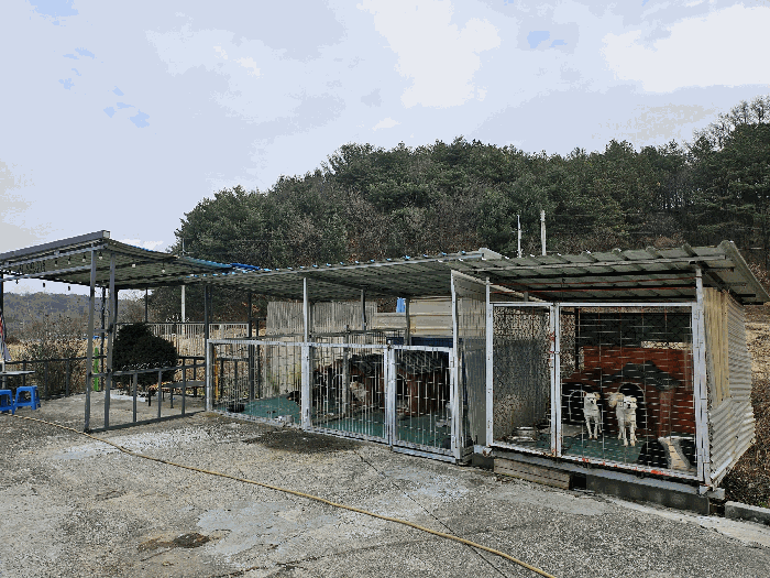 물건 사진 136