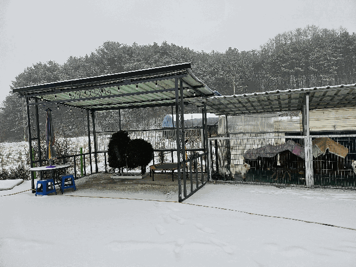 물건 사진 95