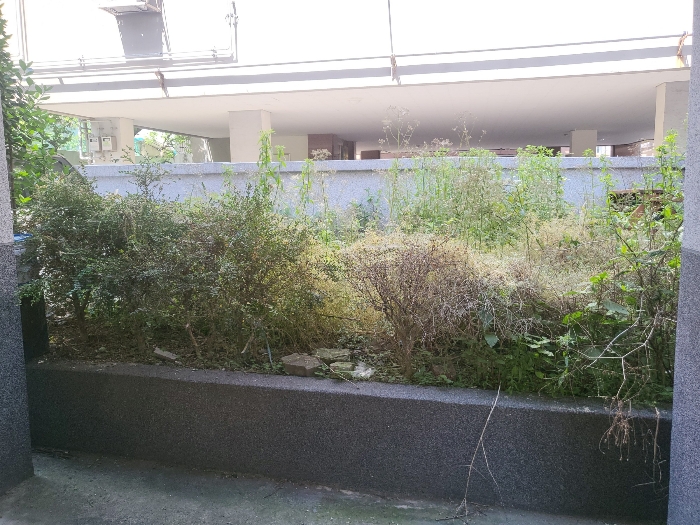 물건 사진 53