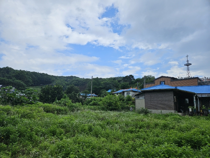 물건 사진 12