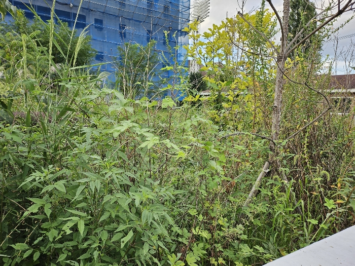 물건 사진 55