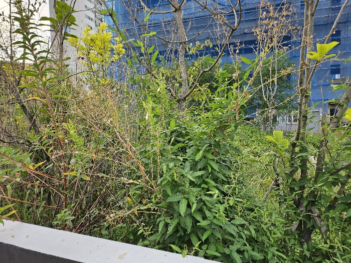 물건 사진 67