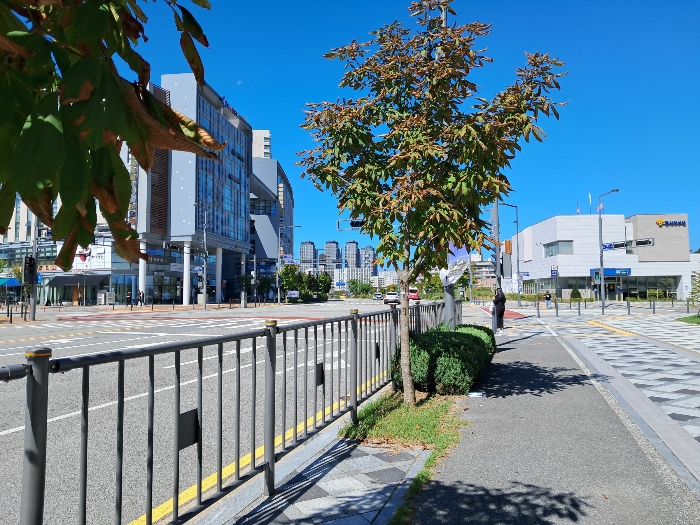 물건 사진 39