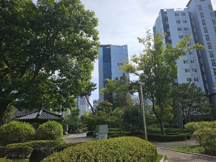 물건 사진 11