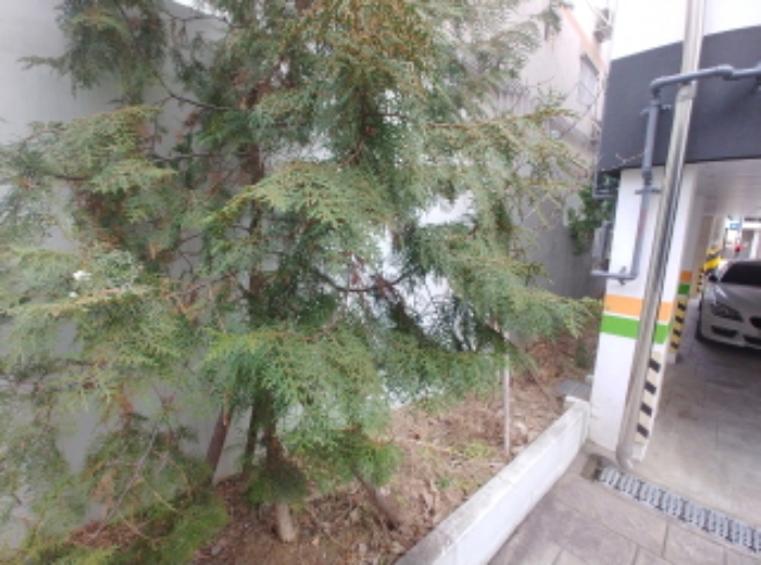 물건 사진 7