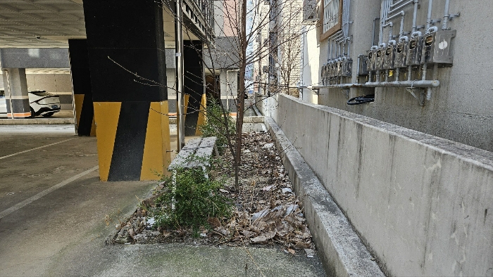 물건 사진 31
