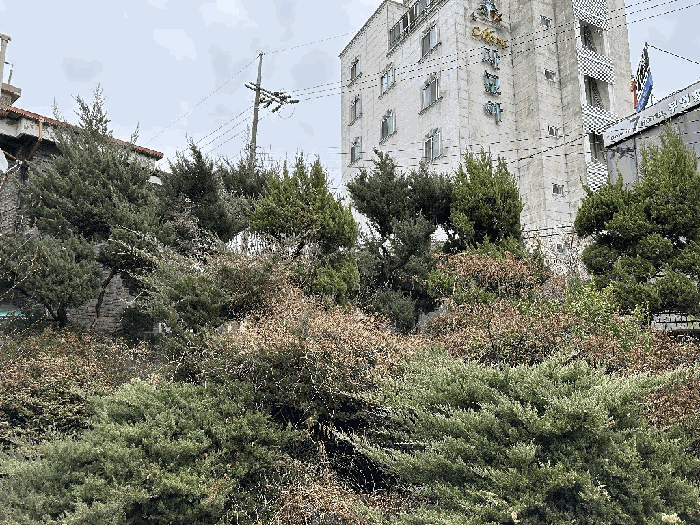 물건 사진 29