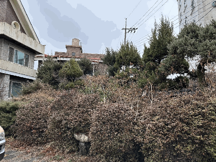 물건 사진 37