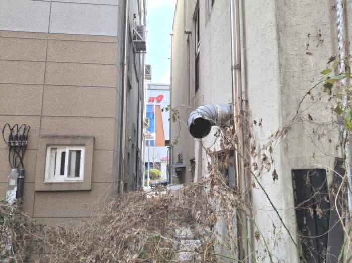 물건 사진 8
