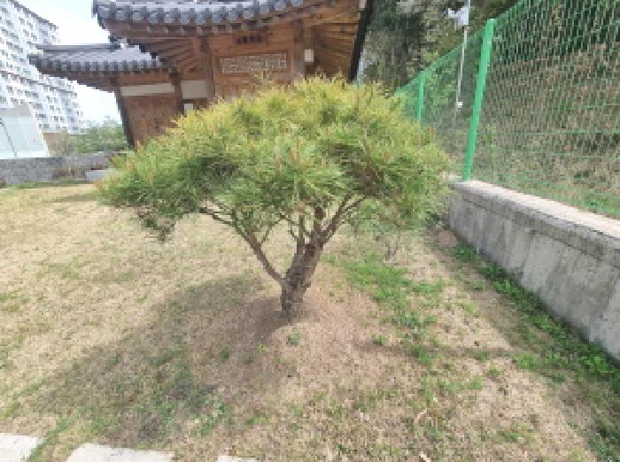 물건 사진 2