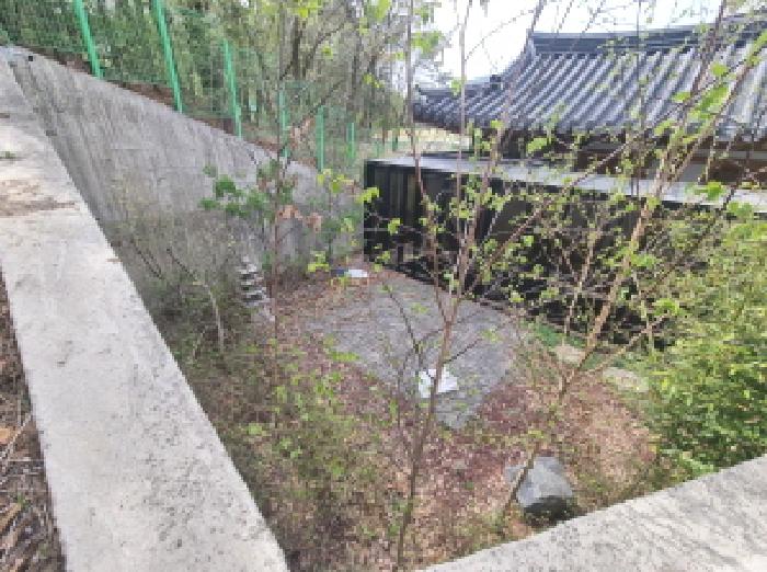 물건 사진 12