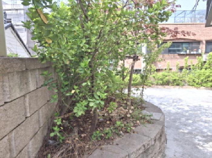 물건 사진 33