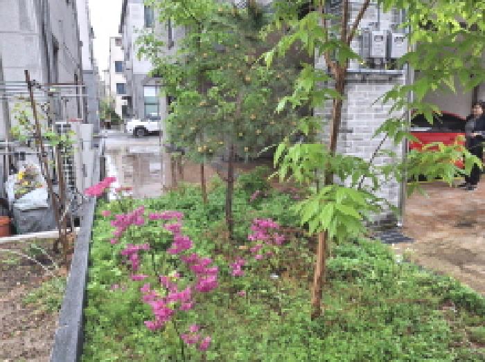물건 사진 24