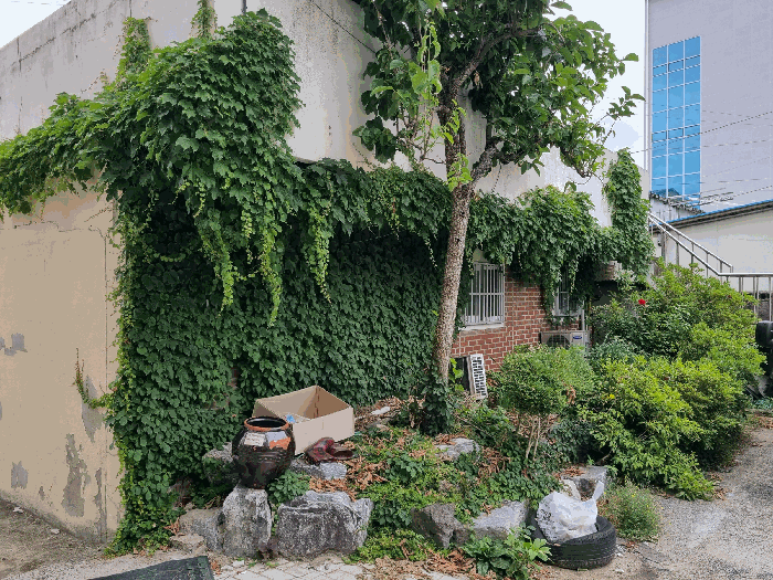 물건 사진 74