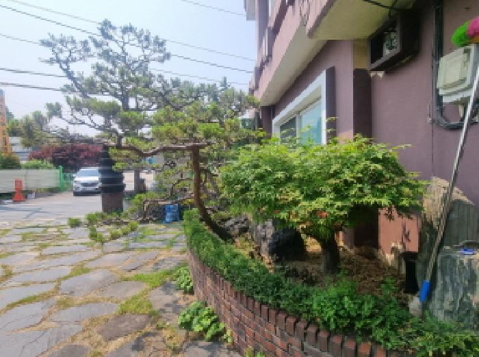 물건 사진 5