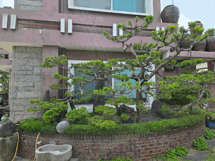 물건 사진 46
