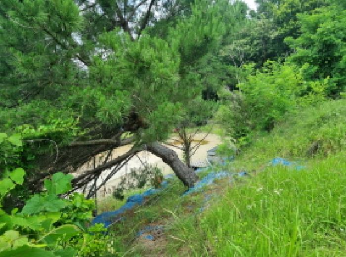 물건 사진 26