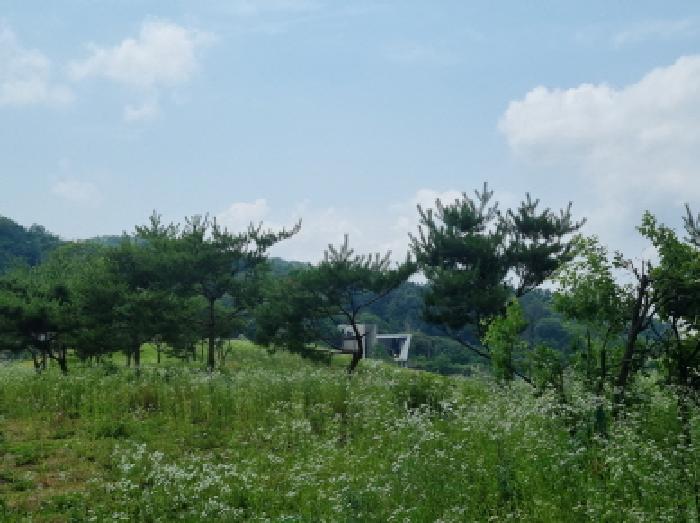 물건 사진 28