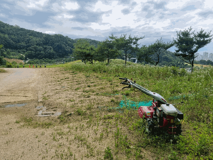 물건 사진 62