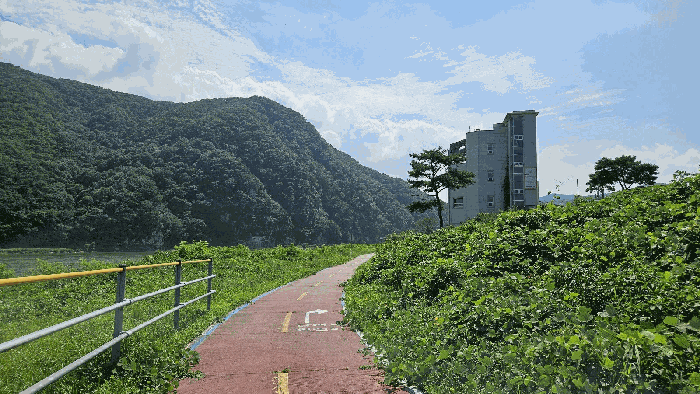 물건 사진 22