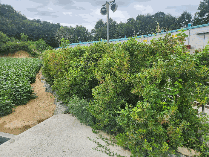 물건 사진 54