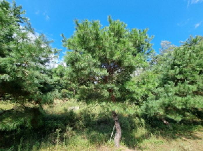 물건 사진 21