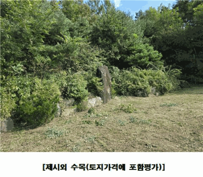 물건 사진 51