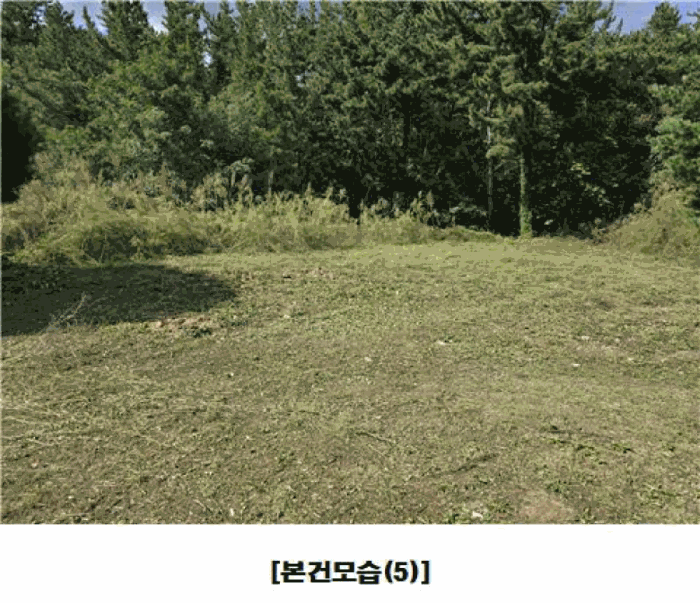 물건 사진 54
