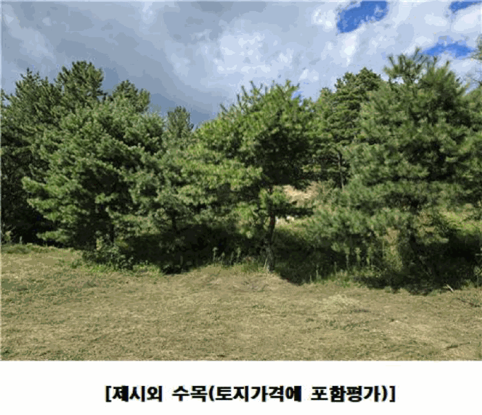 물건 사진 57