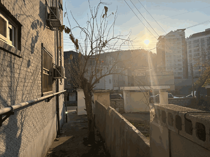 물건 사진 31