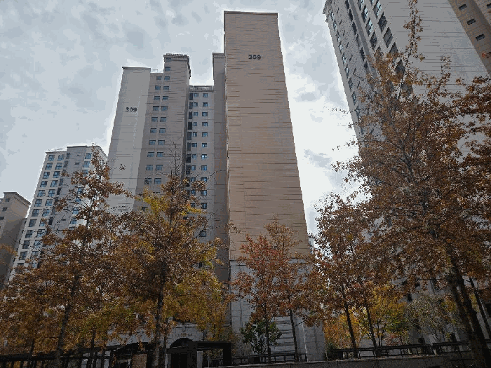 물건 사진 11