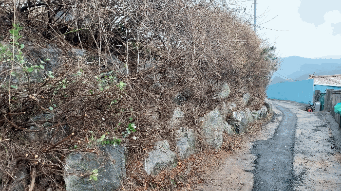 물건 사진 26
