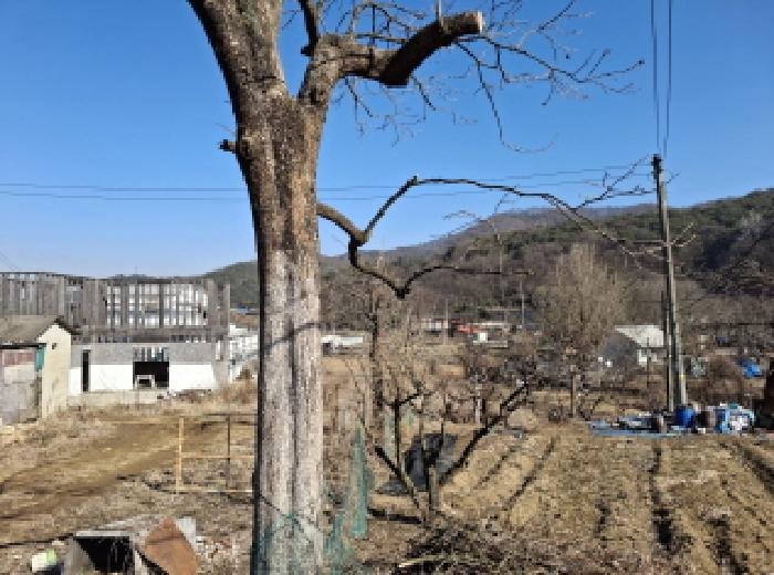 물건 사진 12