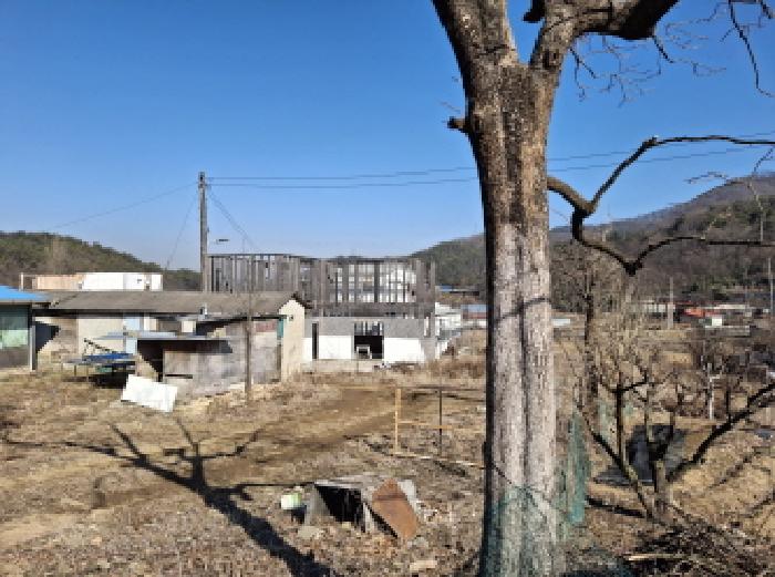 물건 사진 13