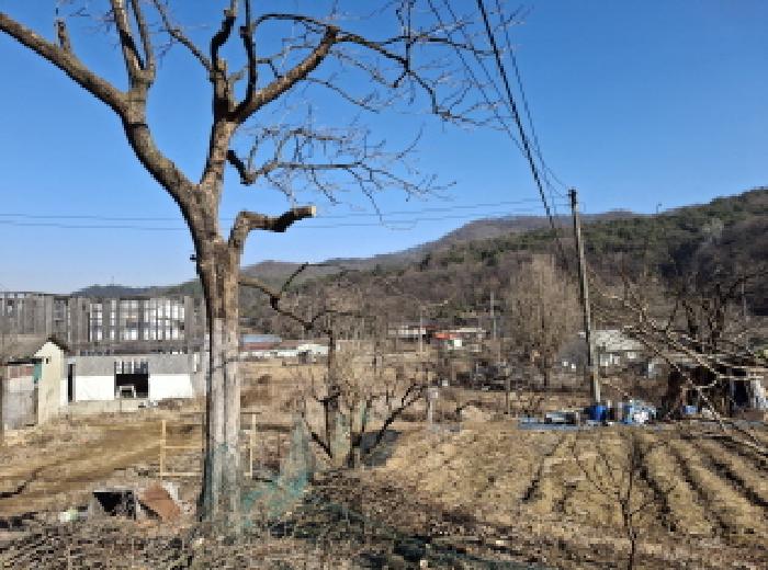 물건 사진 30