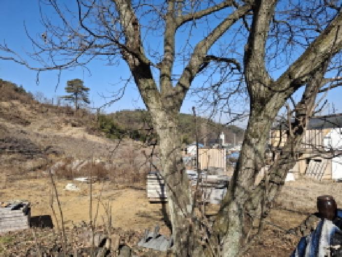 물건 사진 56