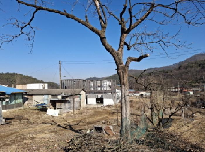 물건 사진 57