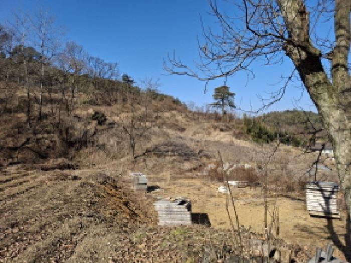 물건 사진 10