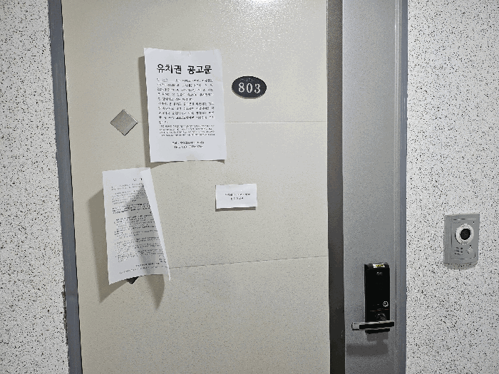 물건 사진 100