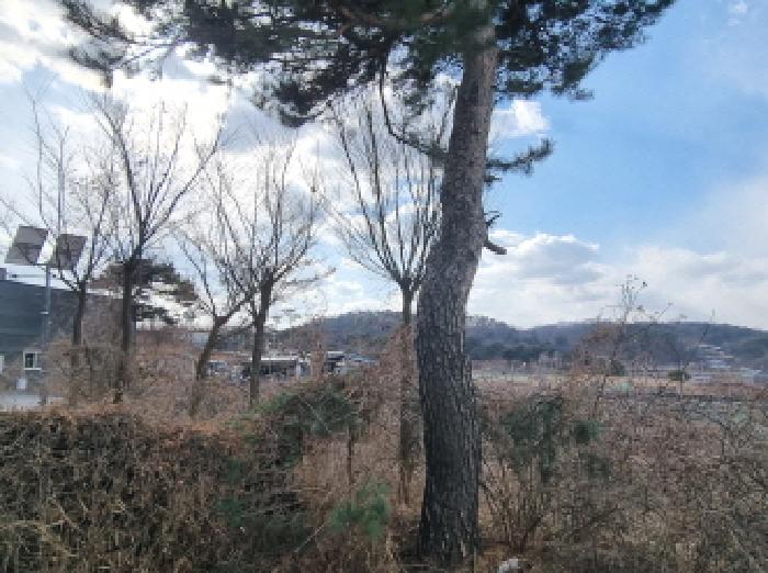 물건 사진 11