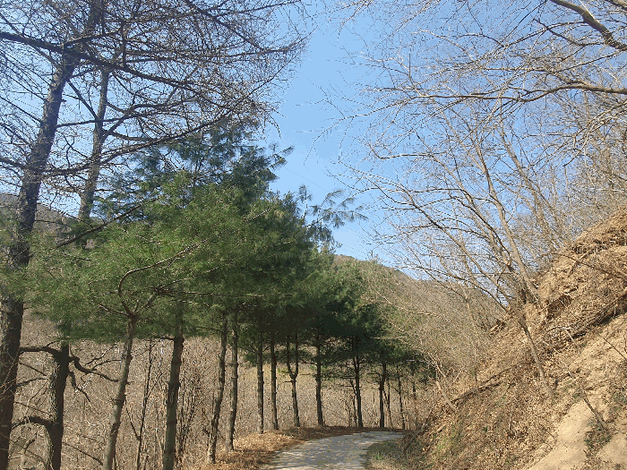 물건 사진 40