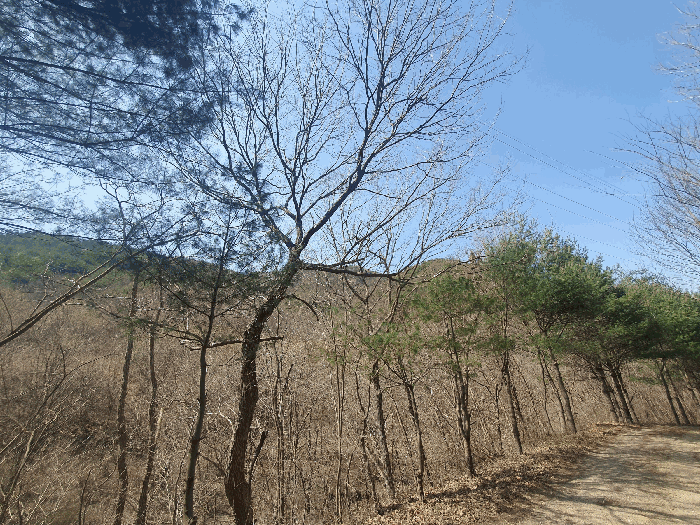 물건 사진 41