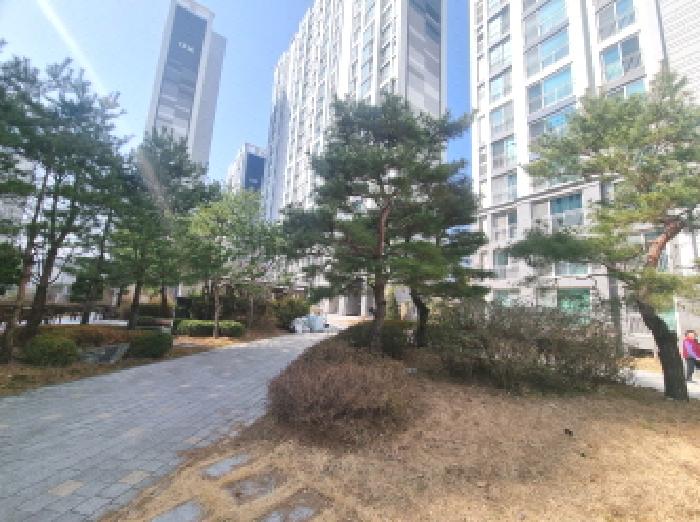 물건 사진 2