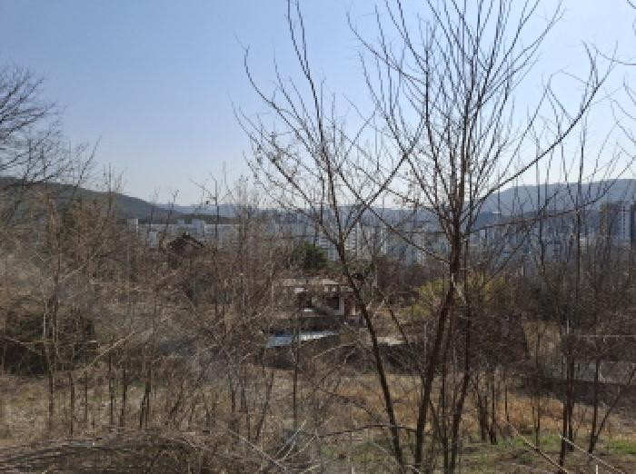 물건 사진 101